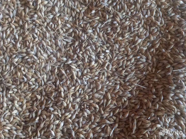 Для сельхоз жиыотных