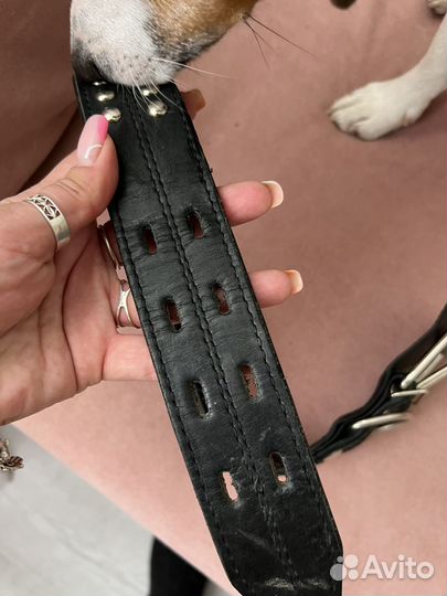 Ошейник для крупной собаки