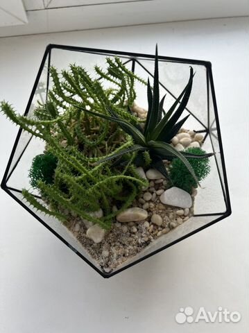 Флорариум с цветами