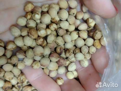 Вишневые косточки