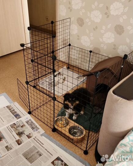 Вольер для собак