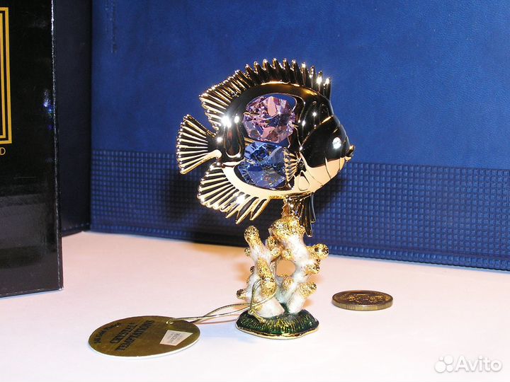 Рыбка на коралле