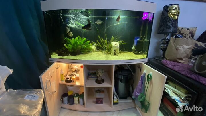 Аквариум
