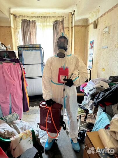 Обработка от муравьев тараканов клопов ос