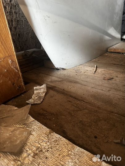 Axis капот presage u30