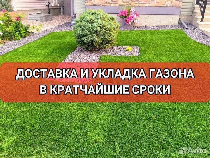 Рулонный газон от производителя стандарт