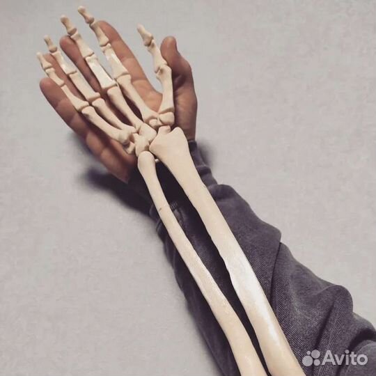 Скелет руки человека Зd печать