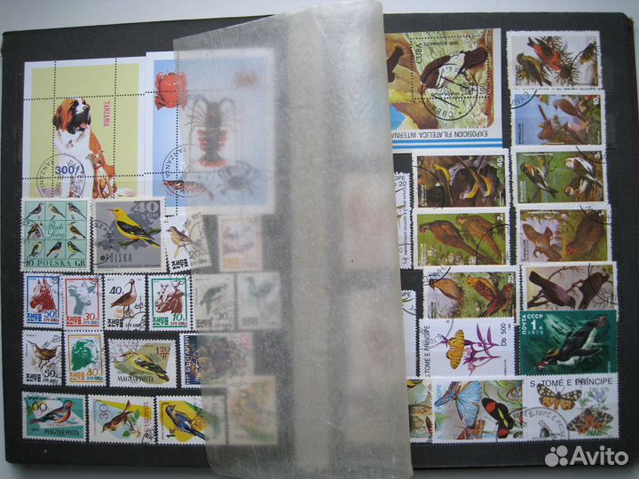 Альбом с марками фауна