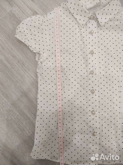 Рубашка блузка Акула 122