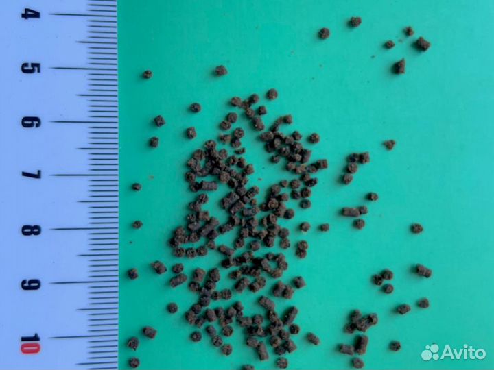 Корм для форели и осетра