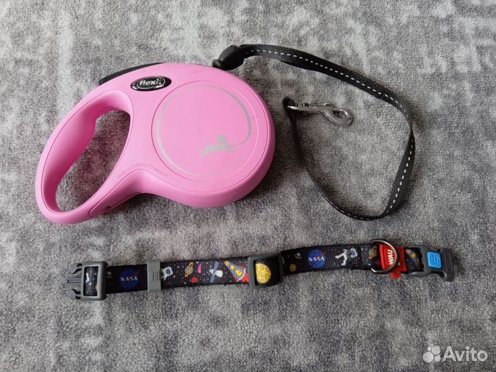 Амуниция и одежда для собак