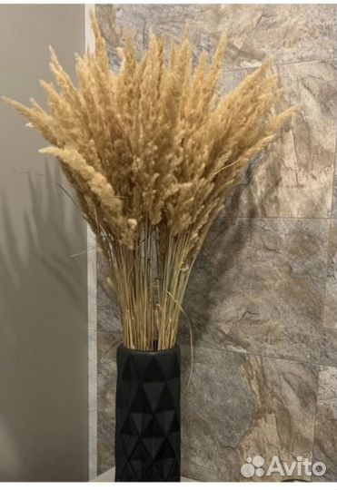 Сухоцветы вейник камыш