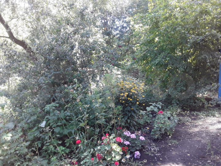 Дом 40 м² на участке 35 сот.