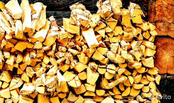 Дрова Береза