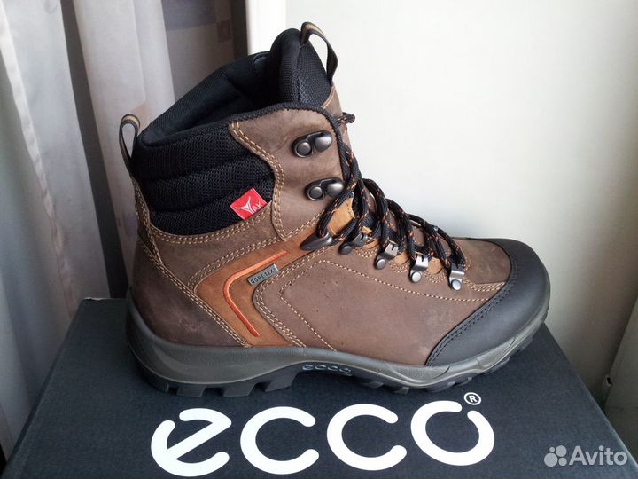 Ecco discount xpedition 2