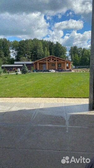 Рулонный газон/продажа/укладка