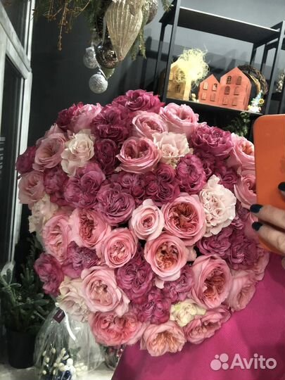 23 самые свежие розы Эквадор