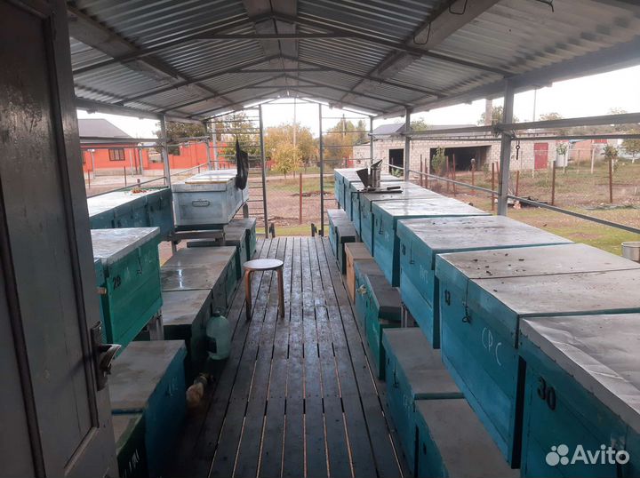 Павильон для пчел