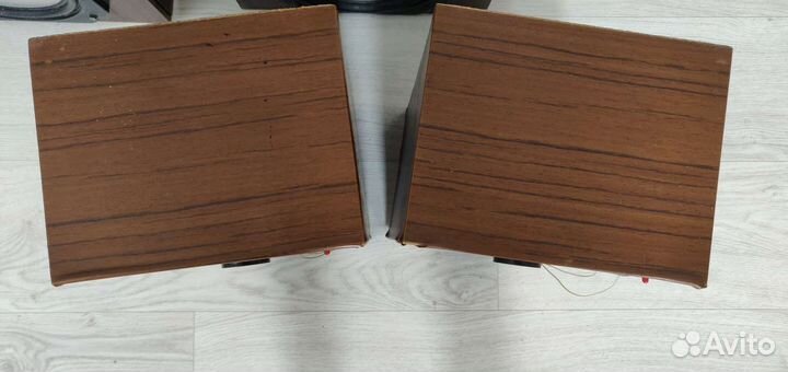 Акустика Радиотехника S 30B