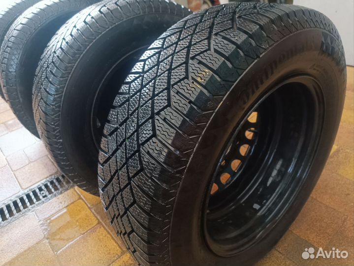 Continental ContiVikingContact 7 205/65 R19 99T