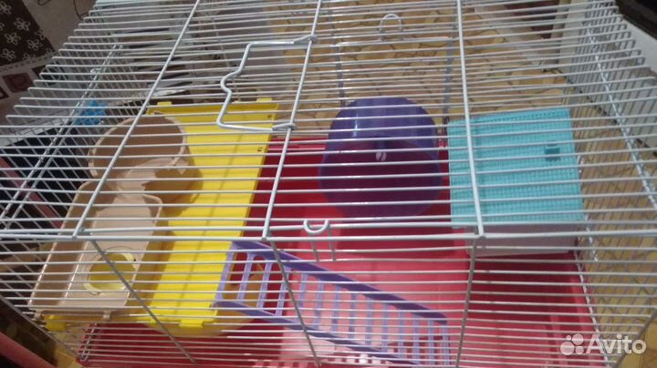 Клетка для грызунов