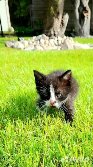 В самые любящие и заботливые руки