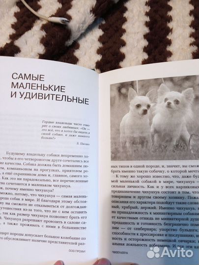 Книга про чихуа Хуа(пособие),все об этой породе