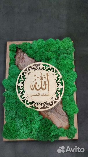 Картины из стабилизированного мха 