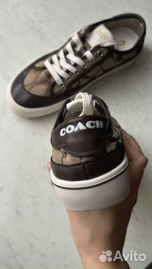 Кеды coach