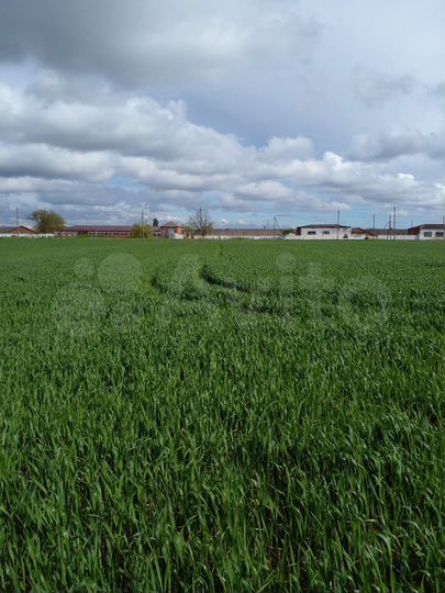 Участок 29 сот. (ИЖС)