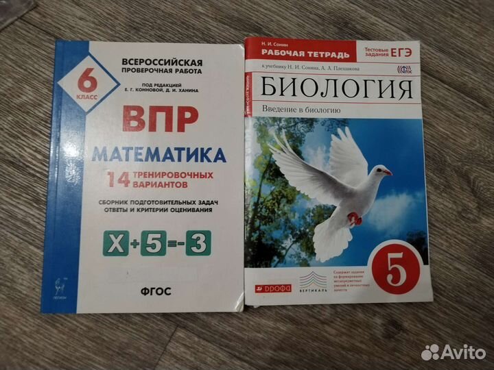Рабочие тетради 5-6 класс