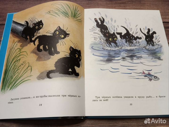 Сказки и картинки Сутеева