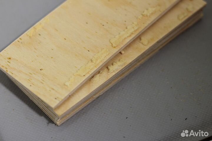 Инсектарий для разведения мухи черная львинка