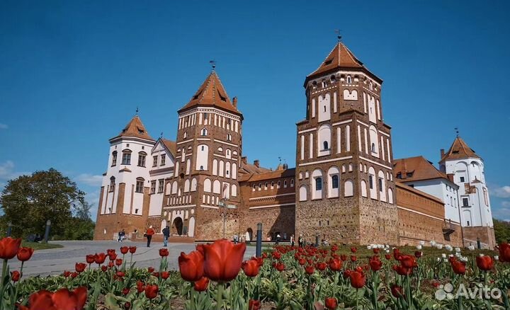 Беларусь. Оттенки летней красоты