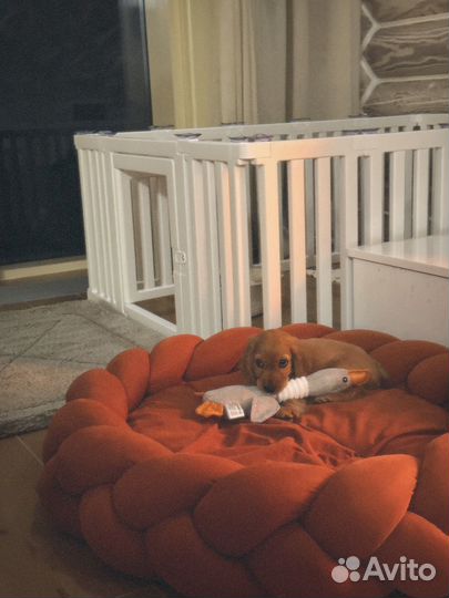 Волеьр для собак