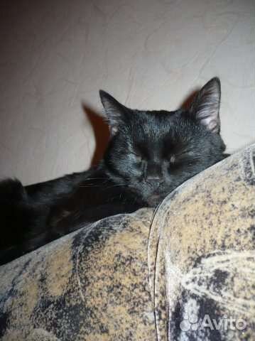 Передержка