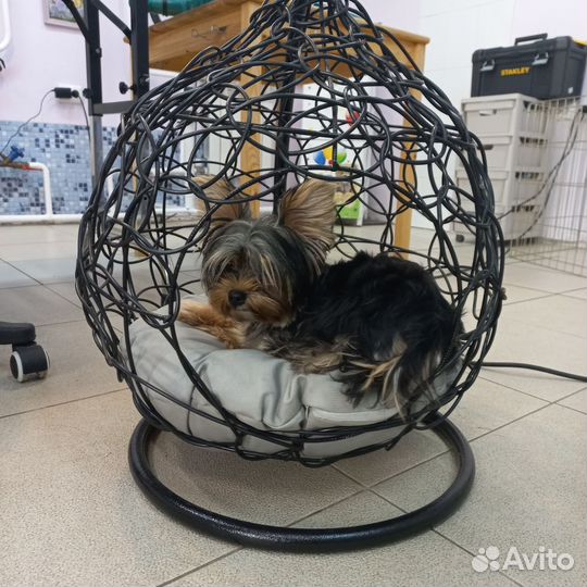 Домик кокон для животных