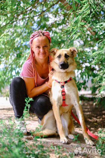 В добрые руки ищем семью