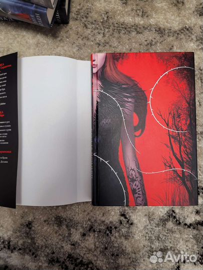 Королевство шипов и роз