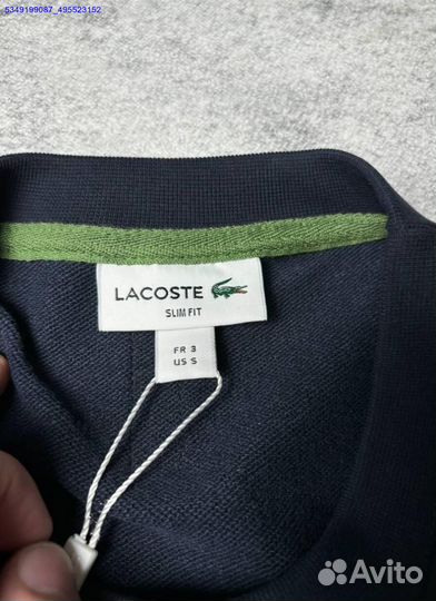 Свитшот Lacoste