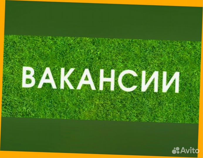 Обвальщики вахтой прожив. +Питание Выплаты еженеде