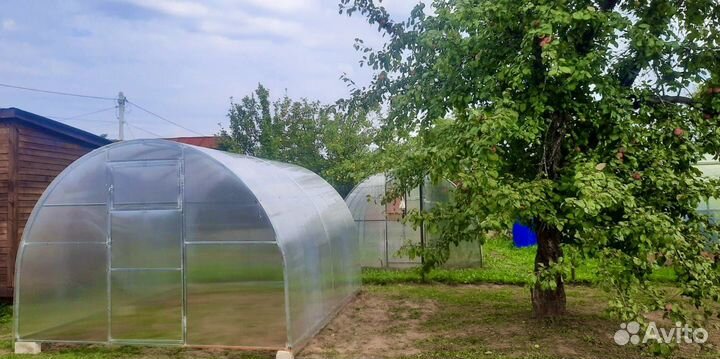 Теплицы с усиленным каркасом