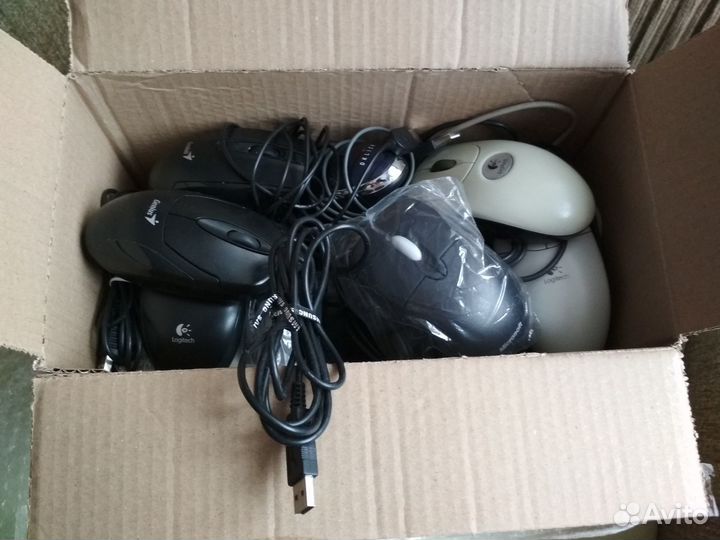 Мышь компьютерная