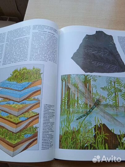 Книга в качестве пособий в различных областях знан