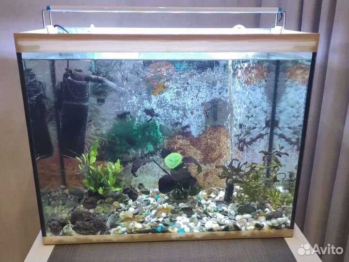 Аквариум