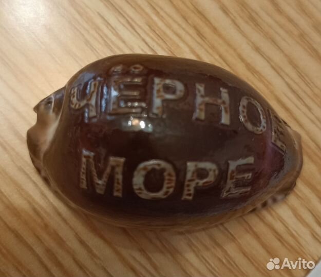 Морские раковины и подставка для аквариума