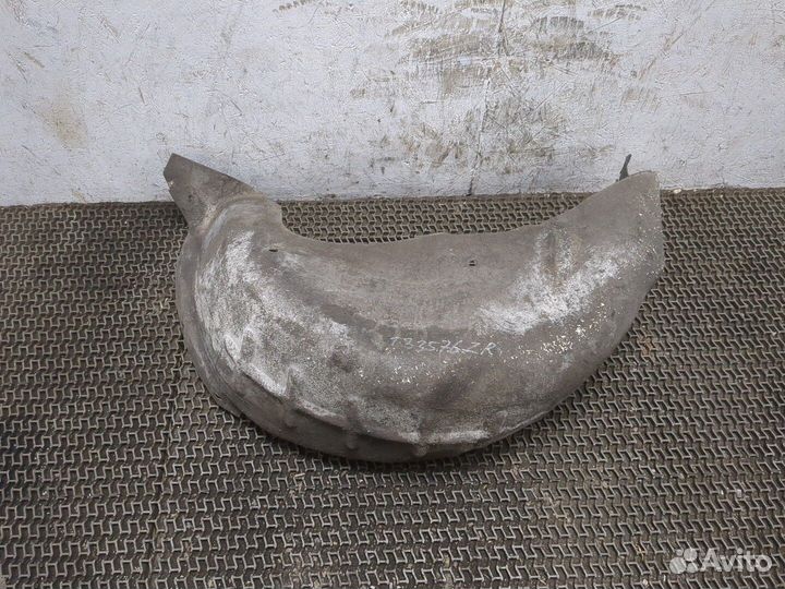 Защита арок (подкрылок) Renault Scenic, 2007