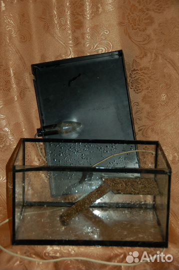 Аквариум-акватеррариум