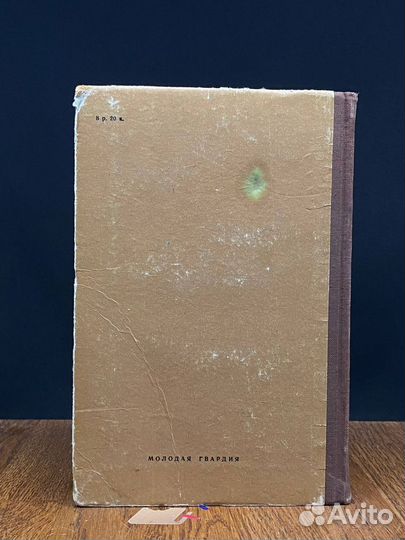 Чернышевский