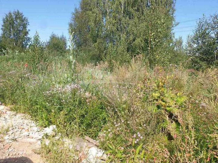 Участок 8,5 сот. (ИЖС)